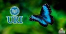 Ciências Biológicas da URI faz Inventário da Fauna no Distrito de Buriti