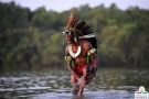 Enfermidades dos Índios Guaranis