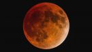 Eclipse lunar parcial será visto em todo o Brasil nesta terça-feira