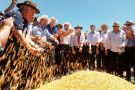 Estado lança programa de incentivo ao milho na abertura da colheita