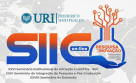 URI Santo Ângelo recebe 5 Prêmios Destaque no SIIC 2020