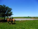 Projeto Experiências do Brasil Rural está com inscrições abertas