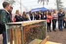 Oficinas atraem centenas de pessoas Workshop Ambiental em Cândido Godói