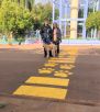 Caibaté pinta faixa de pedestre para pets no centro da cidade
