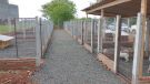 Governo Municipal de Giruá inaugura abrigo temporário para cães