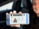 De cada três condutores gaúchos, dois já utilizam a carteira de habilitação no celular