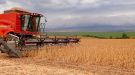 Brasil deve produzir a maior safra de grãos da história, com 317,6 milhões de toneladas