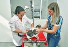 Santo Ângelo oferece serviços de Unidade Básica de Saúde Animal