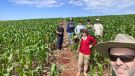 Uri destaca desafios na produção de milho na região das missões e fronteira noroeste