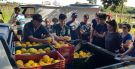 Programa de fruticultura de Santo Ângelo promove capacitação