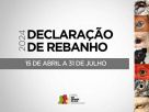 Prazo para Declaração Anual de Rebanho termina na próxima quarta-feira (31/07)