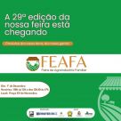 A 29ª edição da FEAFA São Borja está chegando