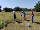 Adubação racional é destaque nas técnicas de manejo de solo