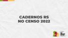 Governo lança publicação ilustrativa dos principGoverno lança publicação ilustrativa dos principais dados do Censo Demográfico para o Rio Gr...